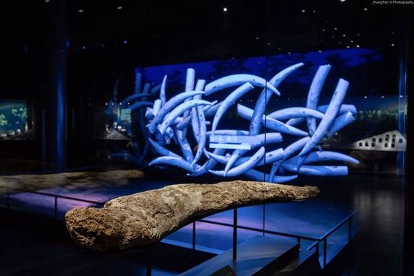 综合馆展厅